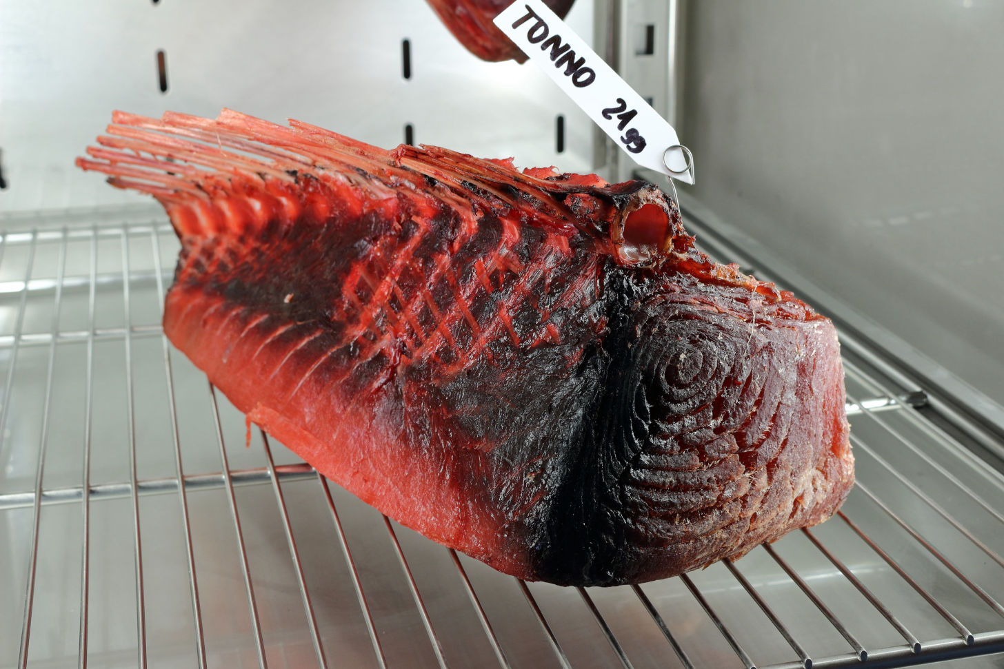 meatico - fish aging