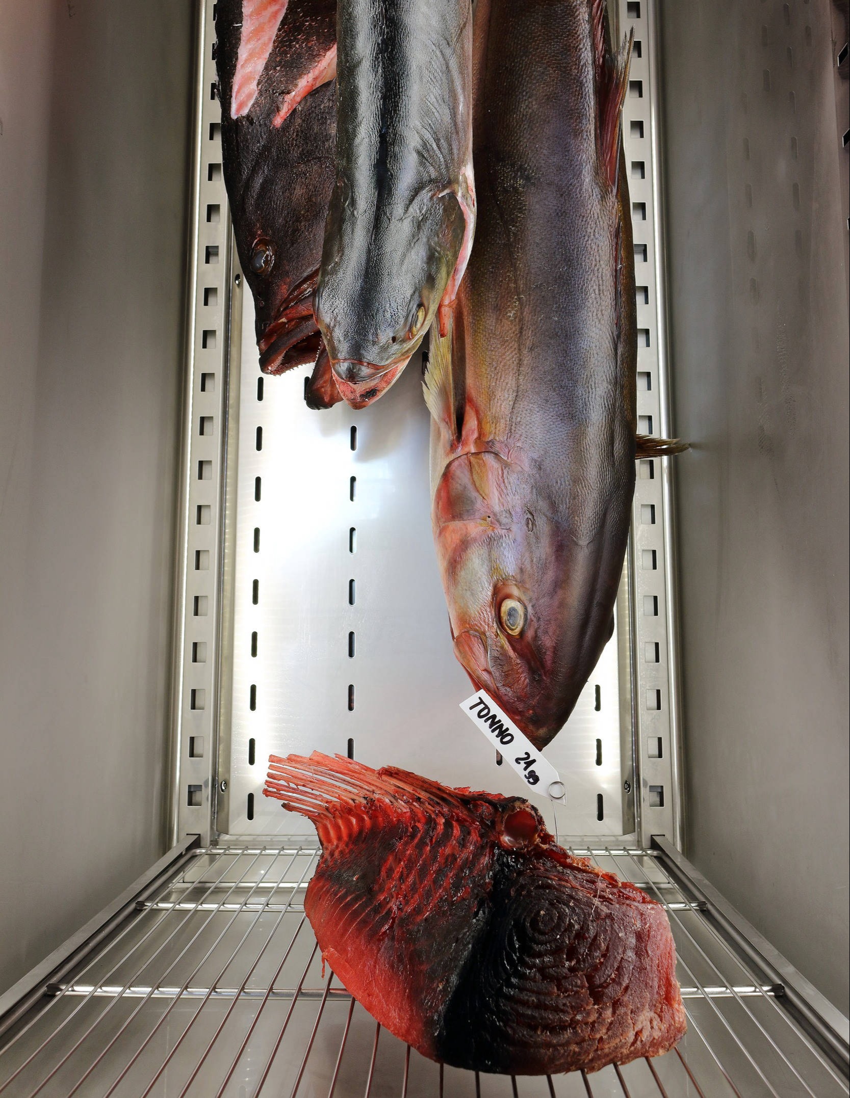 Pesce frollato all'interno dell'armadio meatico