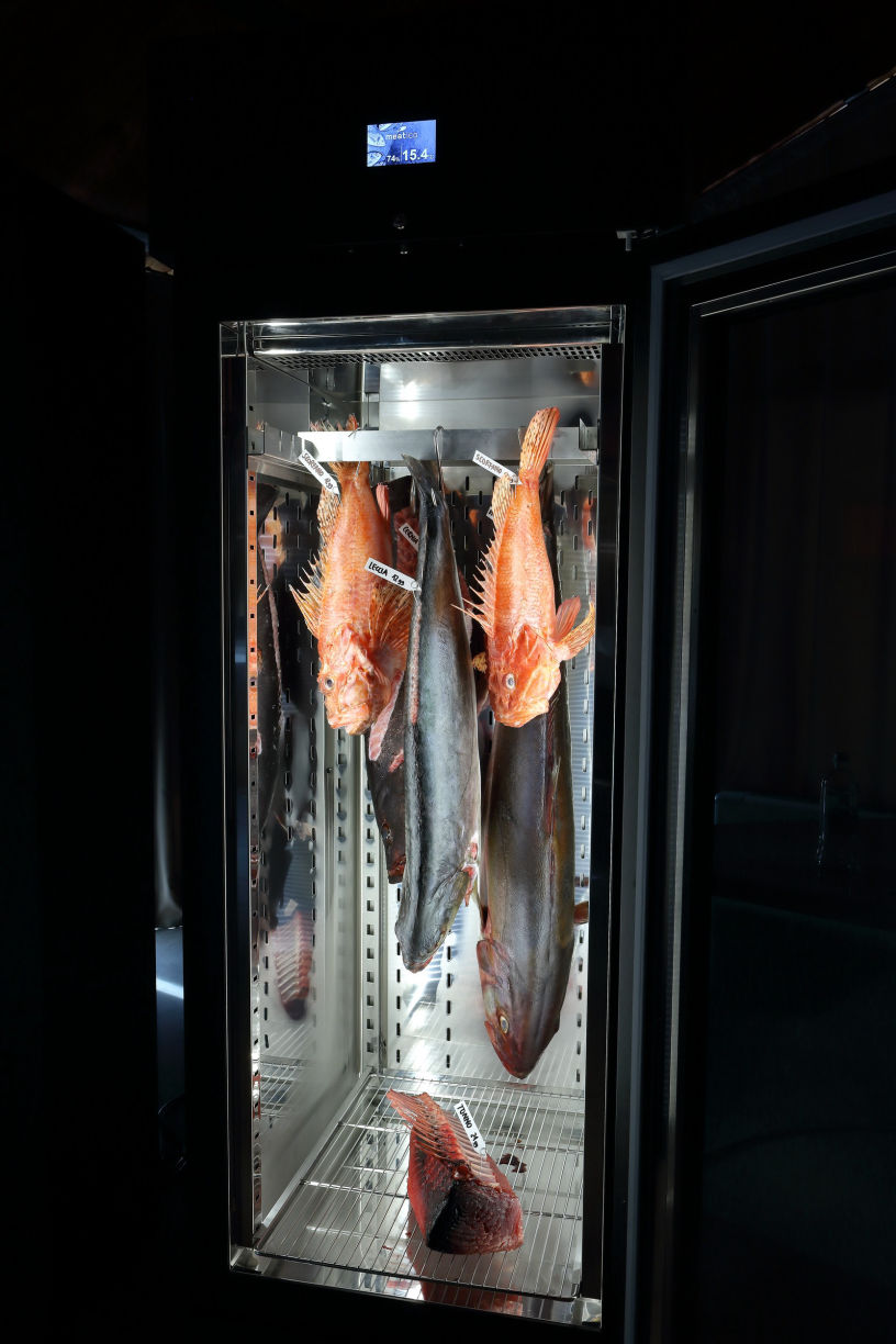 Meatico 700 - armadio frollatura pesce